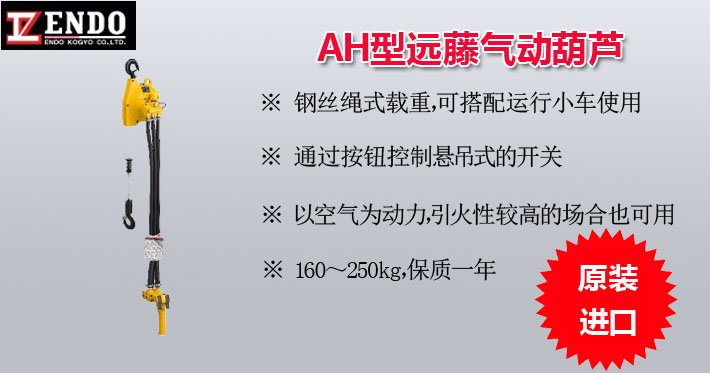 AH型遠藤氣動葫蘆圖片 AH型遠藤氣動葫蘆圖片