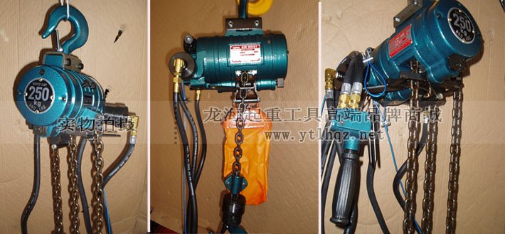 RHL-250P按鈕式氣動葫蘆細(xì)節(jié)圖