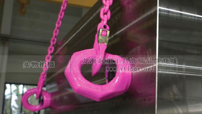 VRM型路德旋轉吊環案例圖