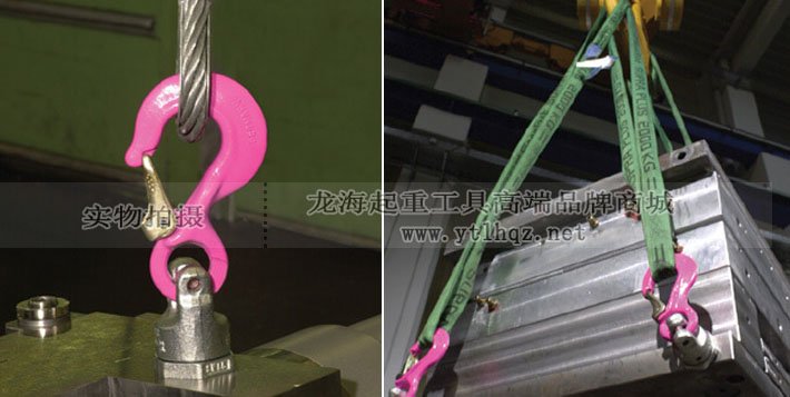 路德PP-S螺栓型旋轉吊點案例圖