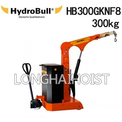 HB300GKNF8小型配重起重機 HB300GKNF8小型配重起重機