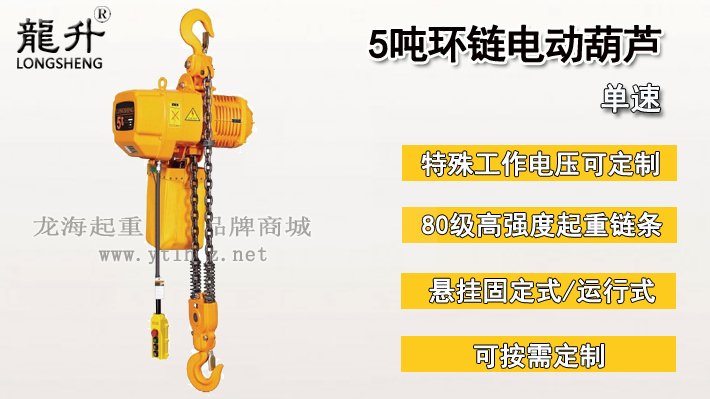 5噸環鏈電動葫蘆圖片
