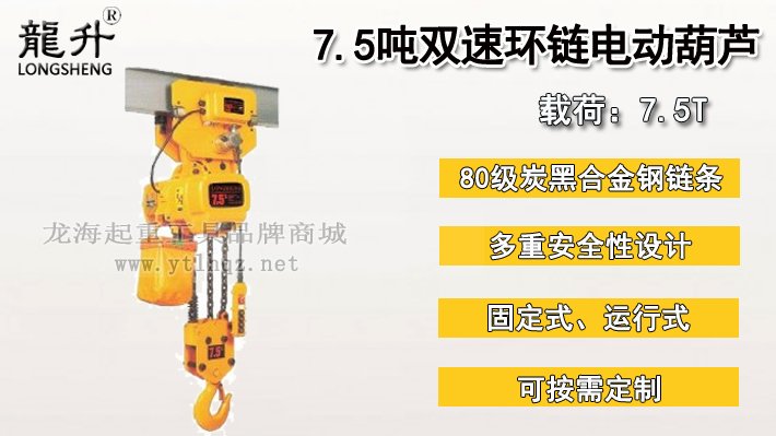 7.5噸雙速環鏈電動葫蘆圖片